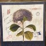 Коробка подарочная куб "Гортензия и лилейник"