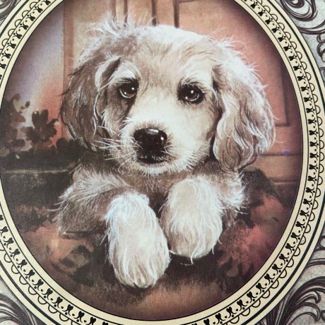 Коробка подарочная "Щенок"