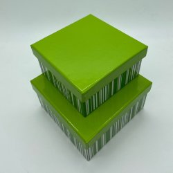 Подарочная коробка "Салатовые полоски"